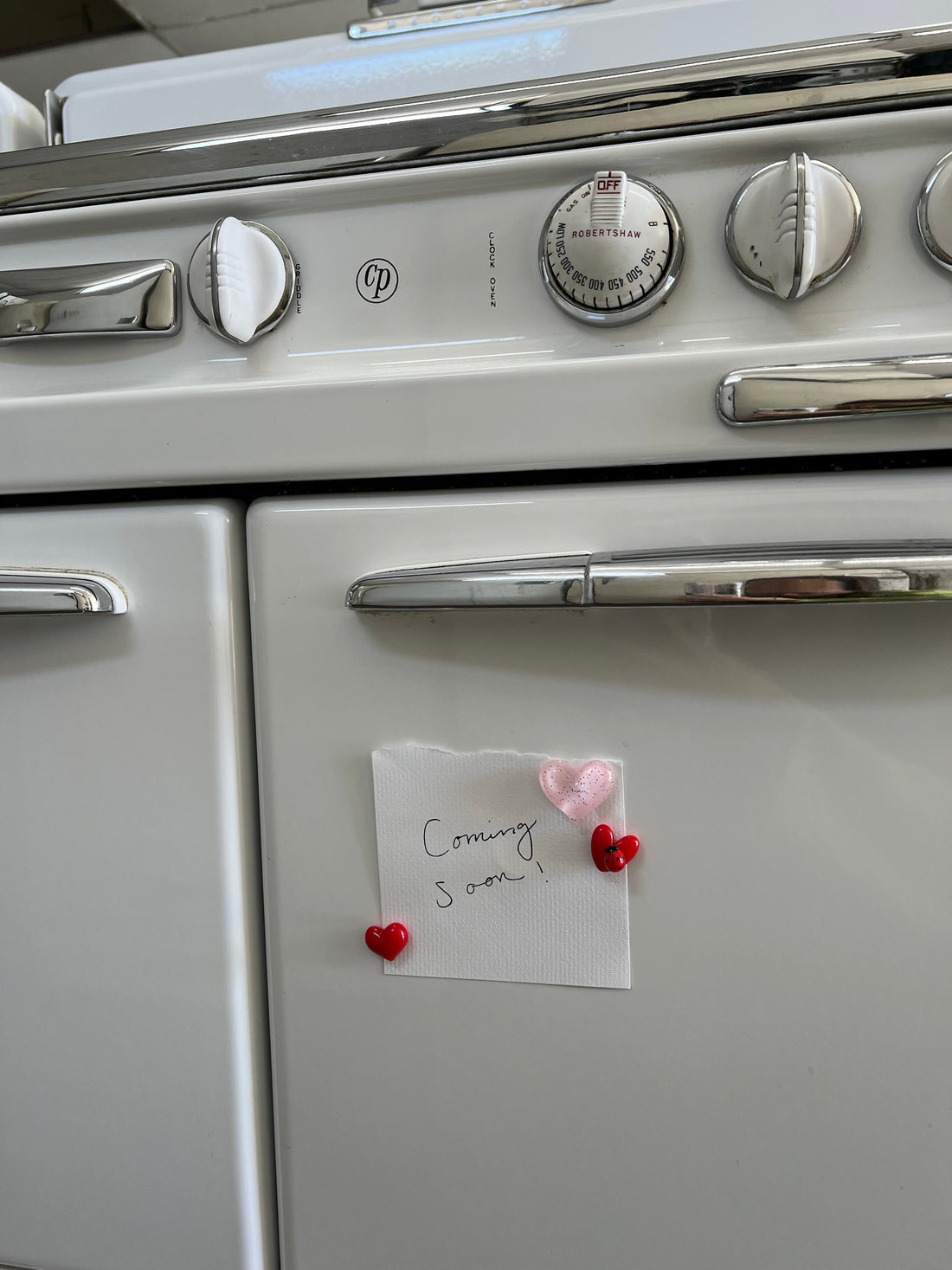 Ladybug Days: A Sweet Slice of Our Upcoming Summer Capsule