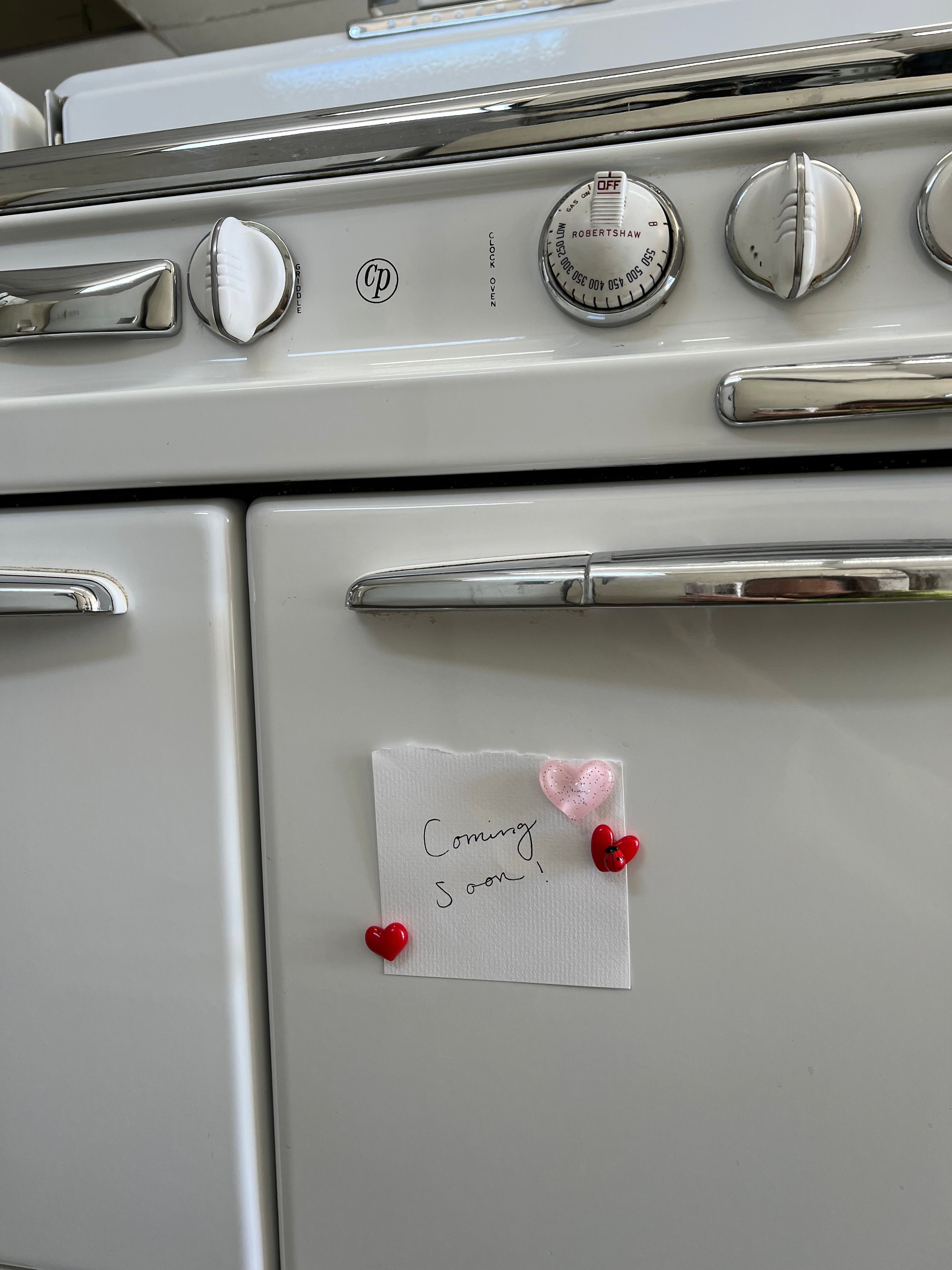 Ladybug Days: A Sweet Slice of Our Upcoming Summer Capsule