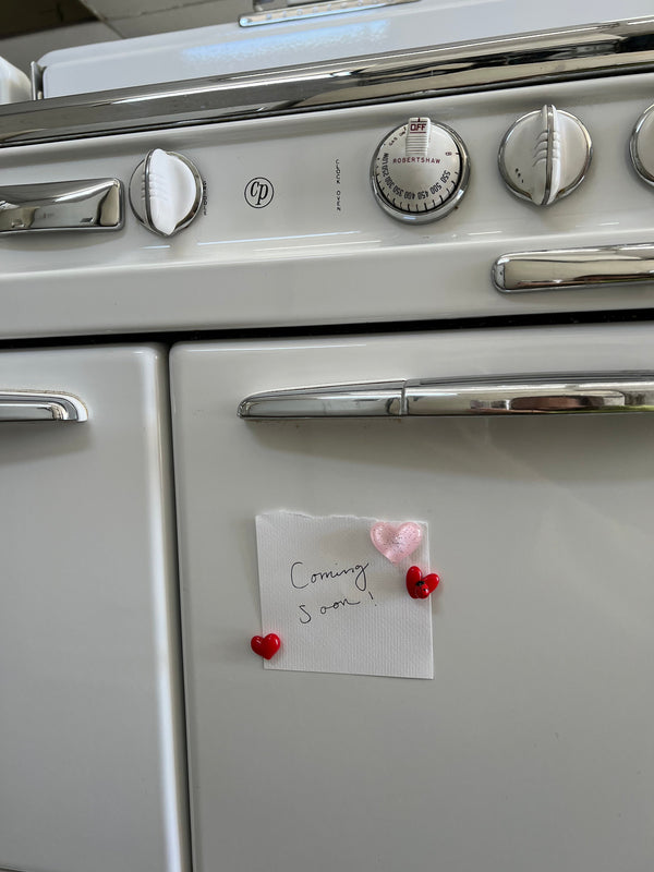 Ladybug Days: A Sweet Slice of Our Upcoming Summer Capsule