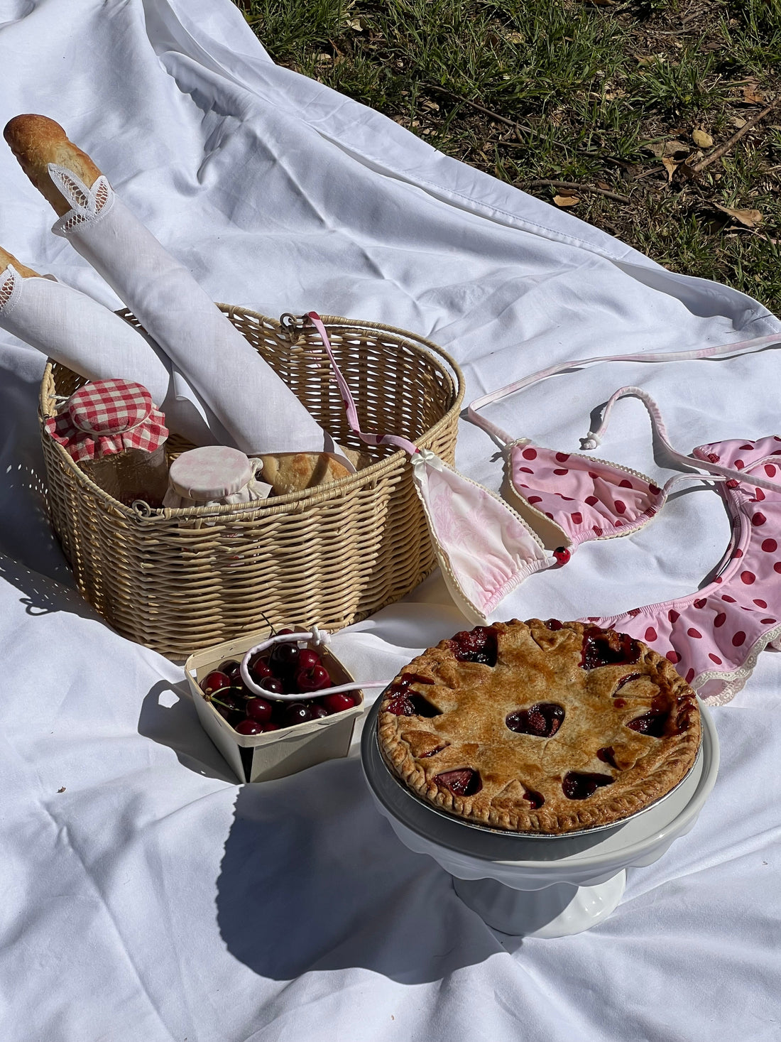 Unpack the Picnic: Meet the Ladybug Days Summer Collection