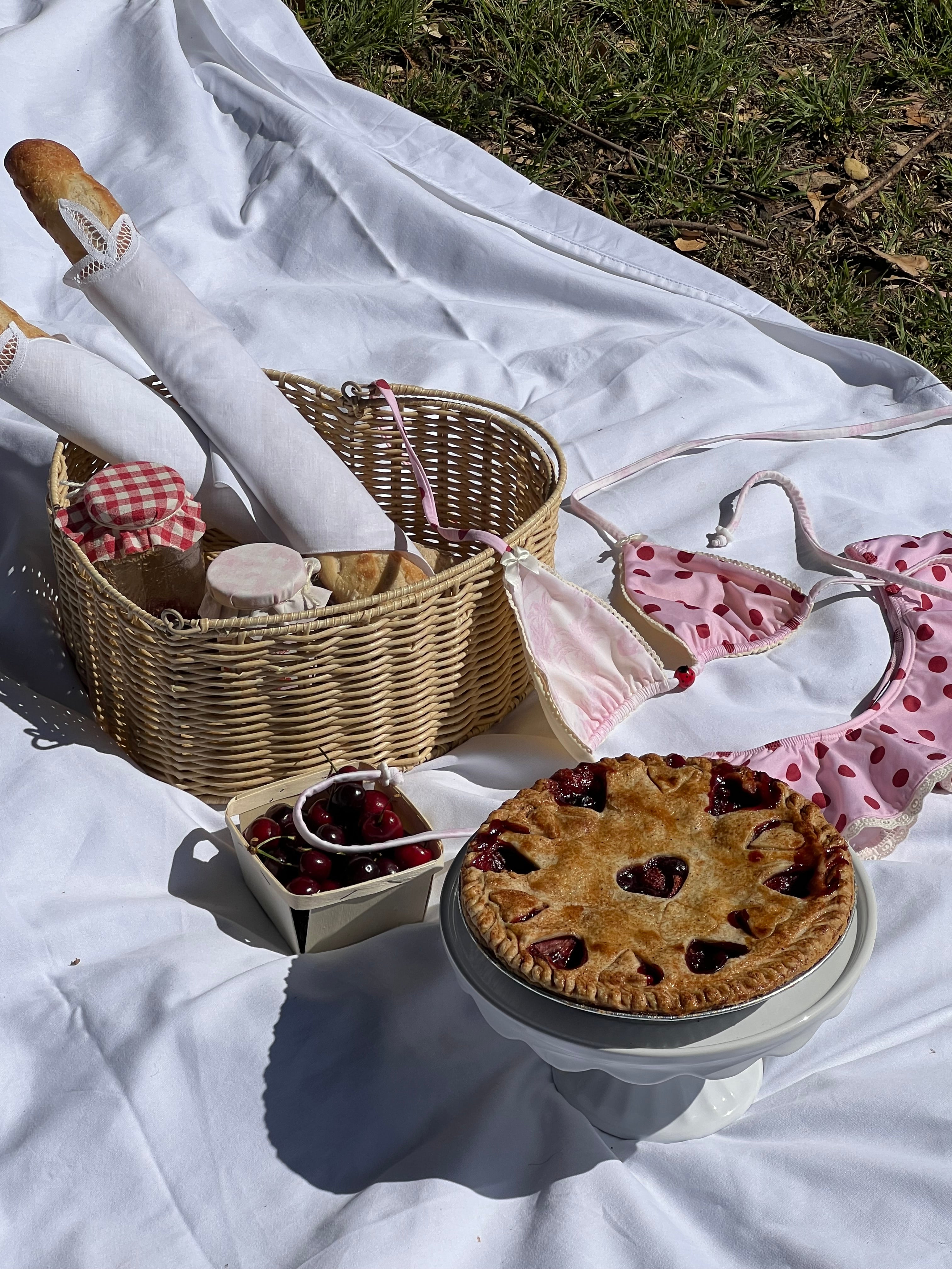 Unpack the Picnic: Meet the Ladybug Days Summer Collection