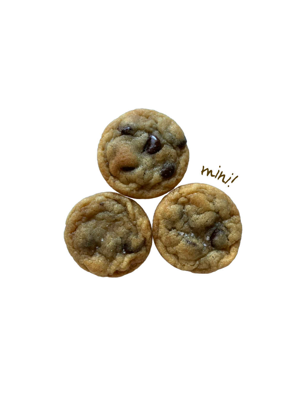 Mini Salted Choc Chip by Generous Cookie CO