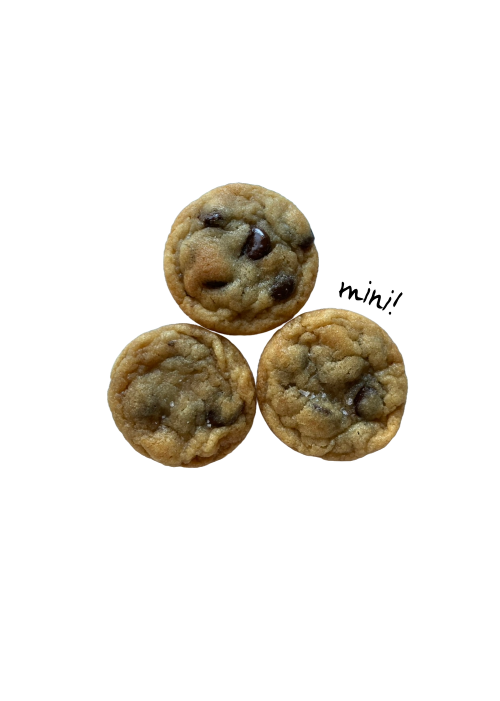 Mini Salted Choc Chip by Generous Cookie CO